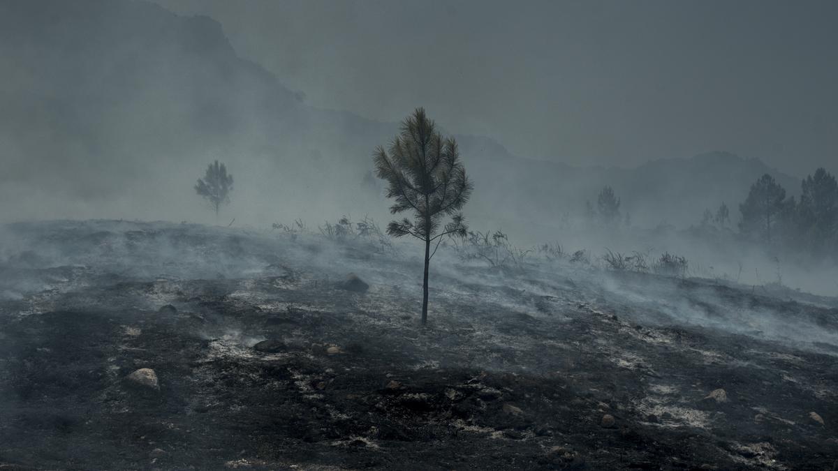 Humo y ceniza en el Xurés, el año pasado. Pese a ser un parque natural, arde cada año, de forma recurrente. // BRAIS LORENZO