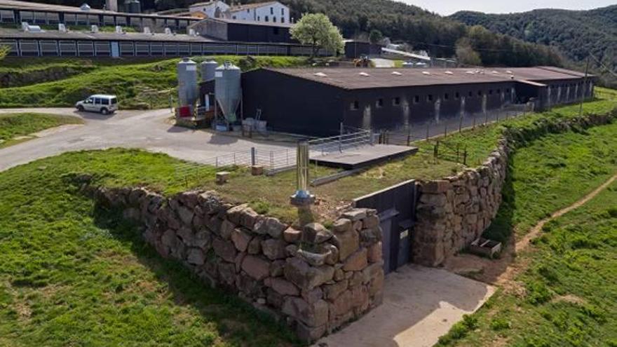 Granja Mas Badia, ubicada al Parc Natural Volcànic de la Garrotxa.