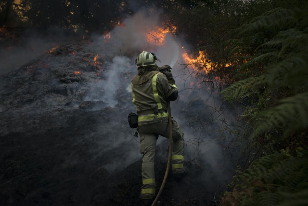 Los servicios de emergencia intentan sofocar las llamas por tierra y por aire.