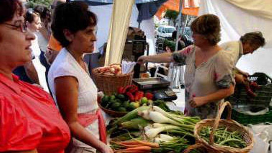 Altea, epicentro de la cultura ecológica y circense