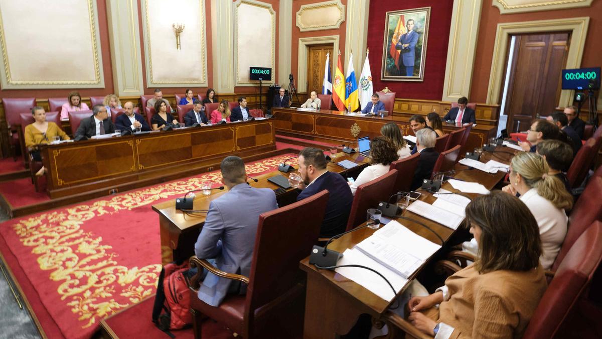 Un momento del pleno que el Ayuntamiento de Santa Cruz celebró este viernes, 28 de abril.