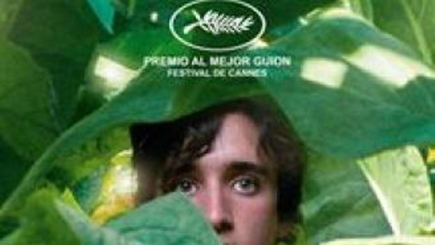 Cartel de la película.