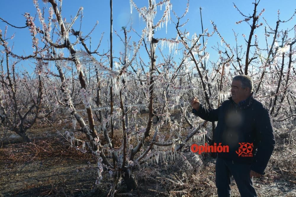 Helada en Cieza 9 de febrero de 2018