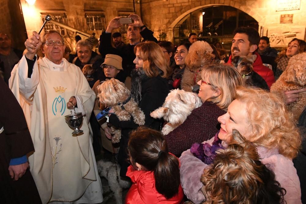 Bendición de mascotas en A Coruña