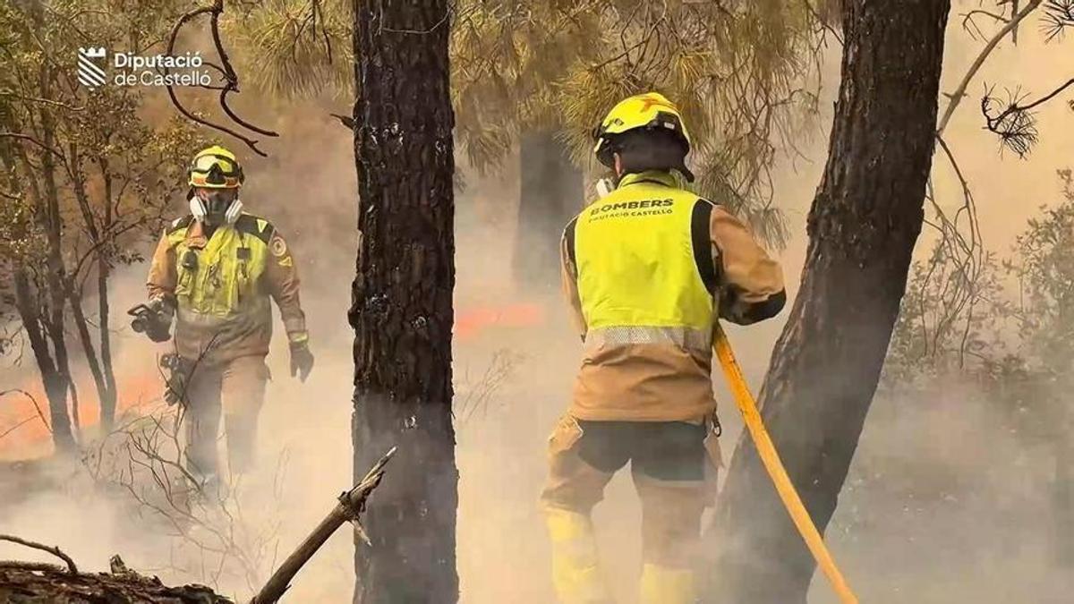 Gracias a todos los bomberos, brigadas forestales, agentes medioambientales, cuerpos de seguridad, personal sanitario, voluntarios y equipos de emergencia que están trabajando sin descanso frente al fuego.