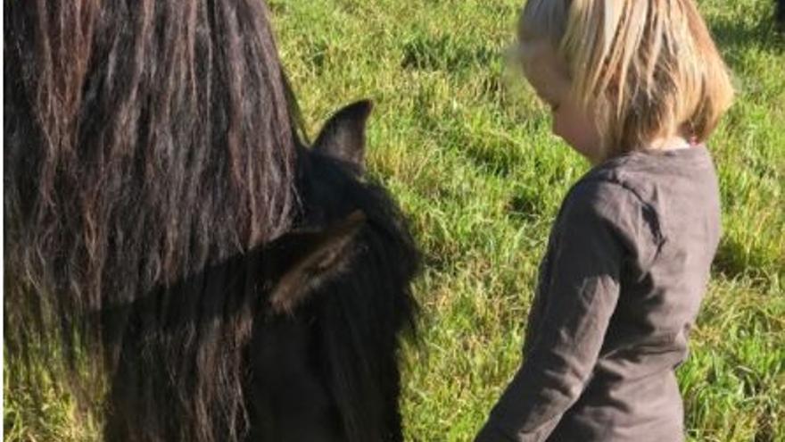 Màster Intervenció terapèutica assistida amb cavalls