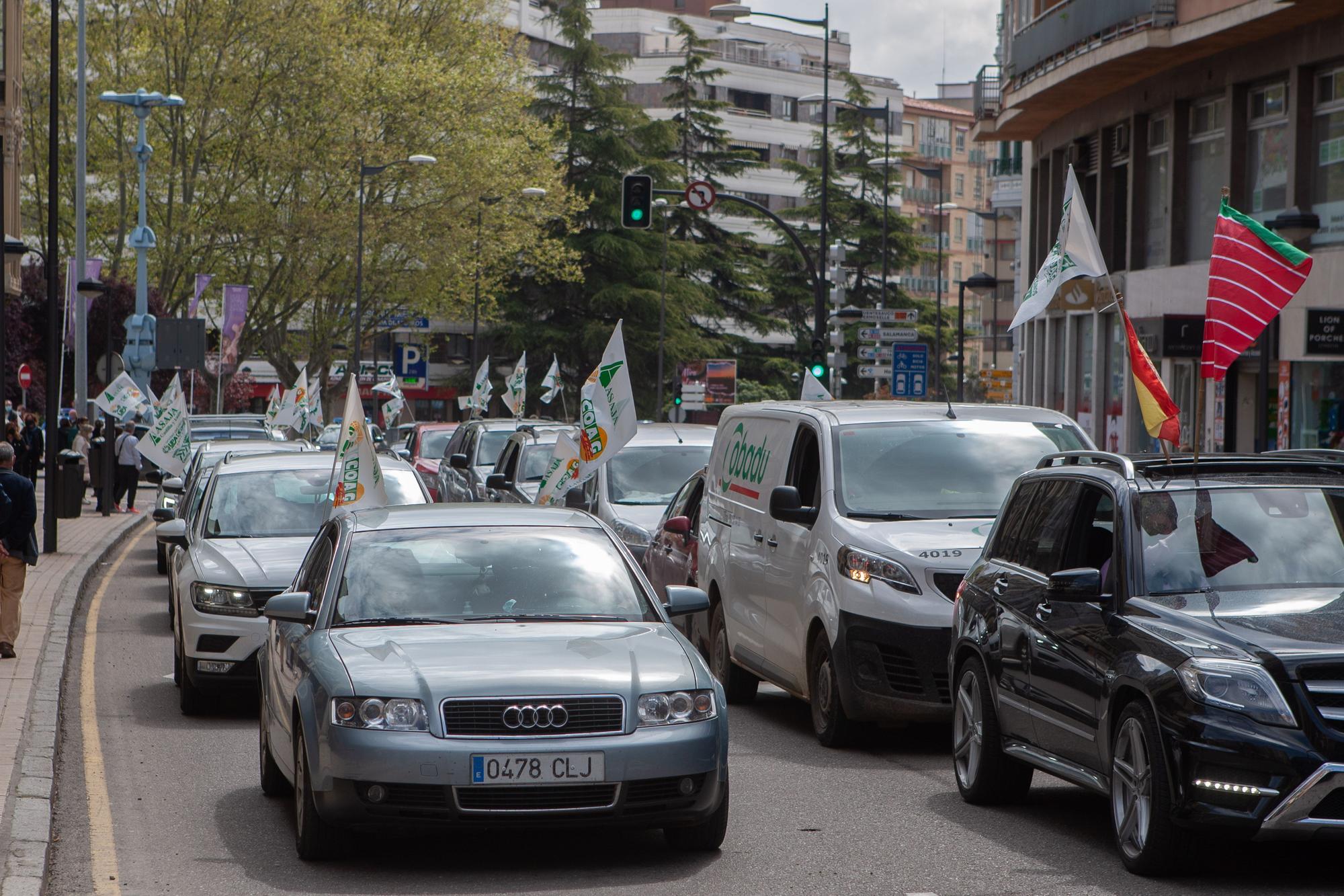 GALERÍA | Manifestación en contra de la "sobreprotección" del lobo ibérico