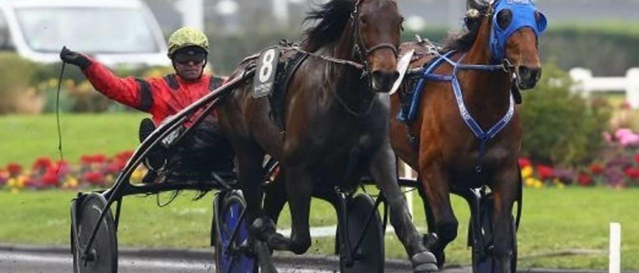 Bold Eagle, con Franck Nivard, por delante de Timoko.