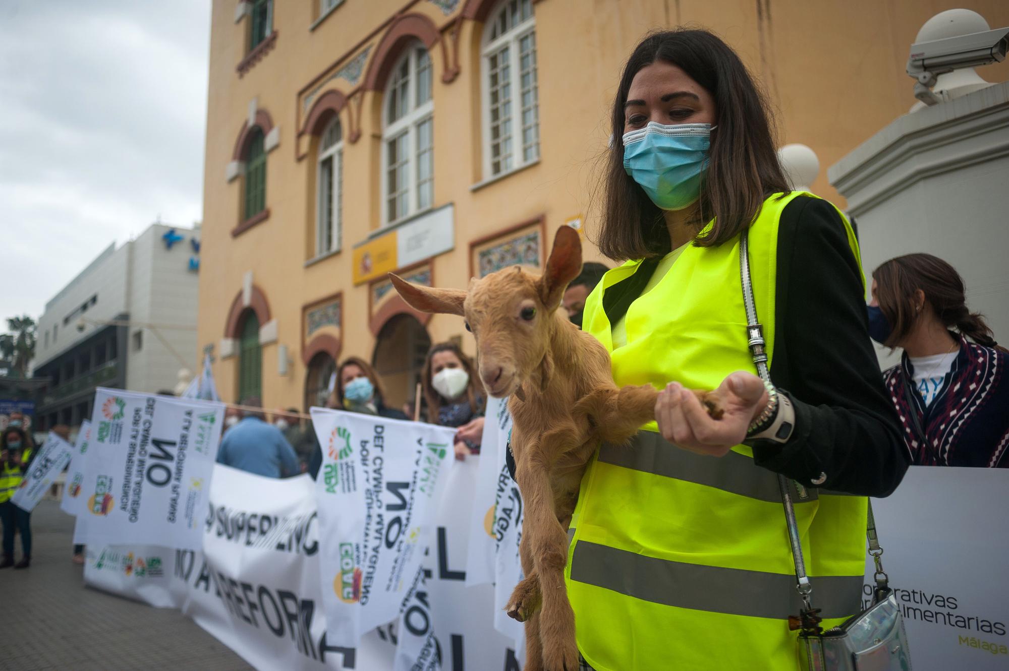 Los agricultores malagueños protestan contra la reforma del PAC