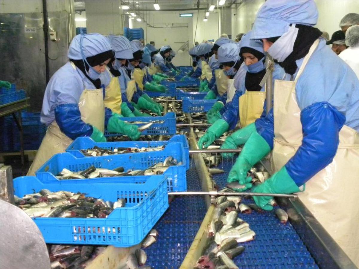 Dakhla, nuevo destino turístico