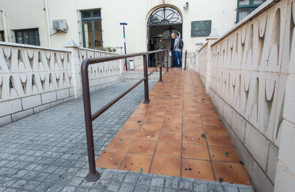 Invadidos por los estorninos en Alicante