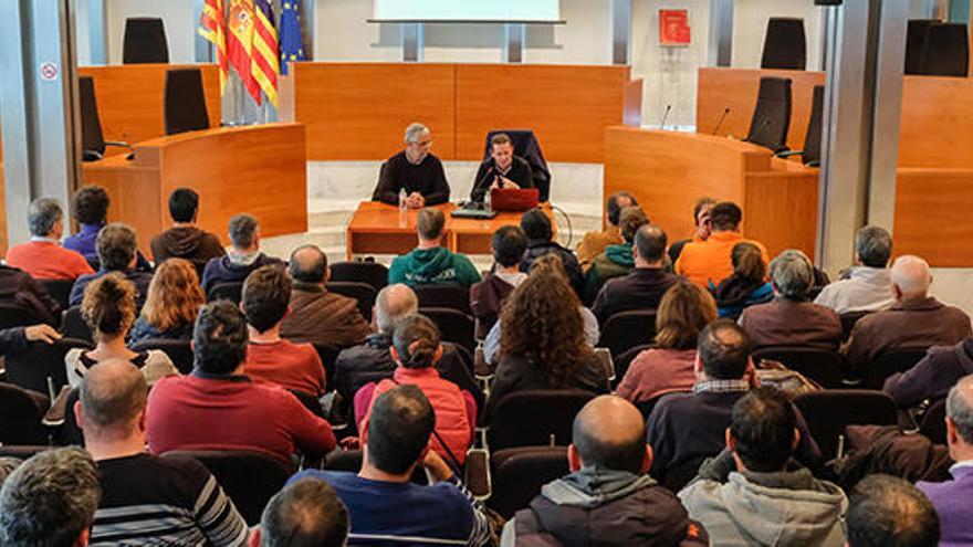 El Consell de Ibiza organizará charlas explicativas sobre la plaga de la xylella