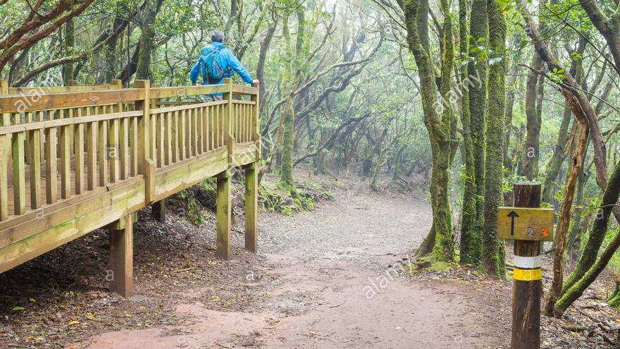 Caminata hasta el Huerto de los Sentidos