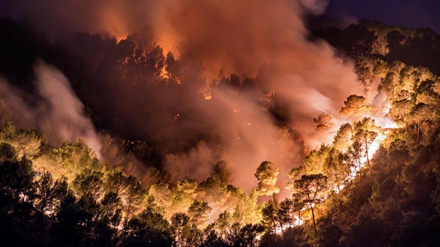 El acusado del mayor fuego forestal de Balears alega que fue una imprudencia leve