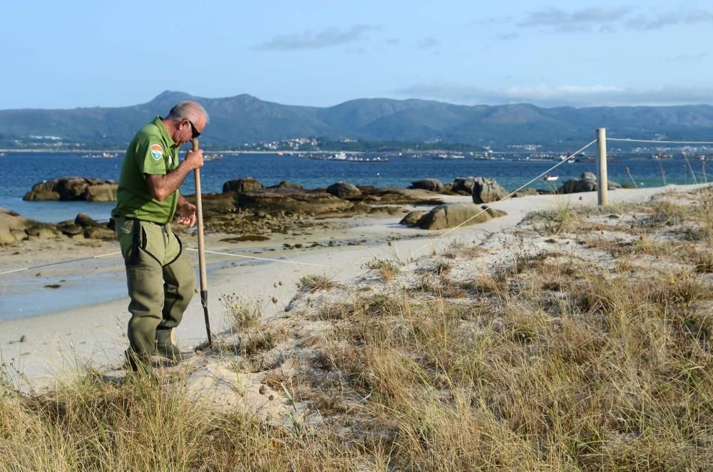 El último aliento de las dunas de O Areoso