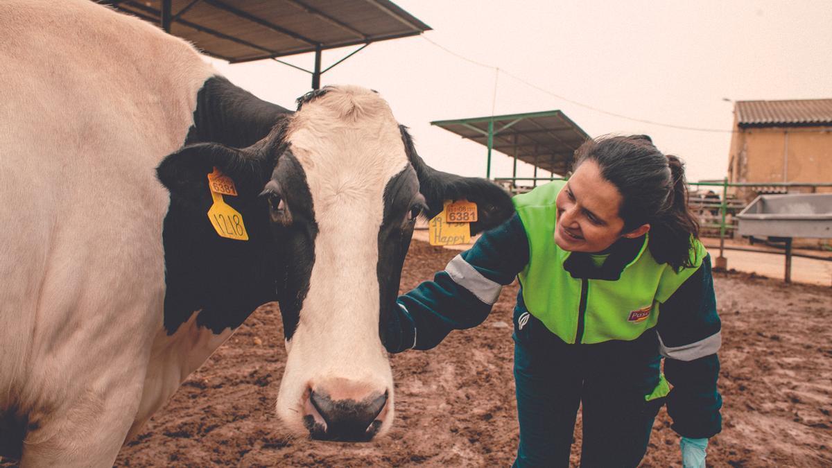 Ganaderos de leche Pascual