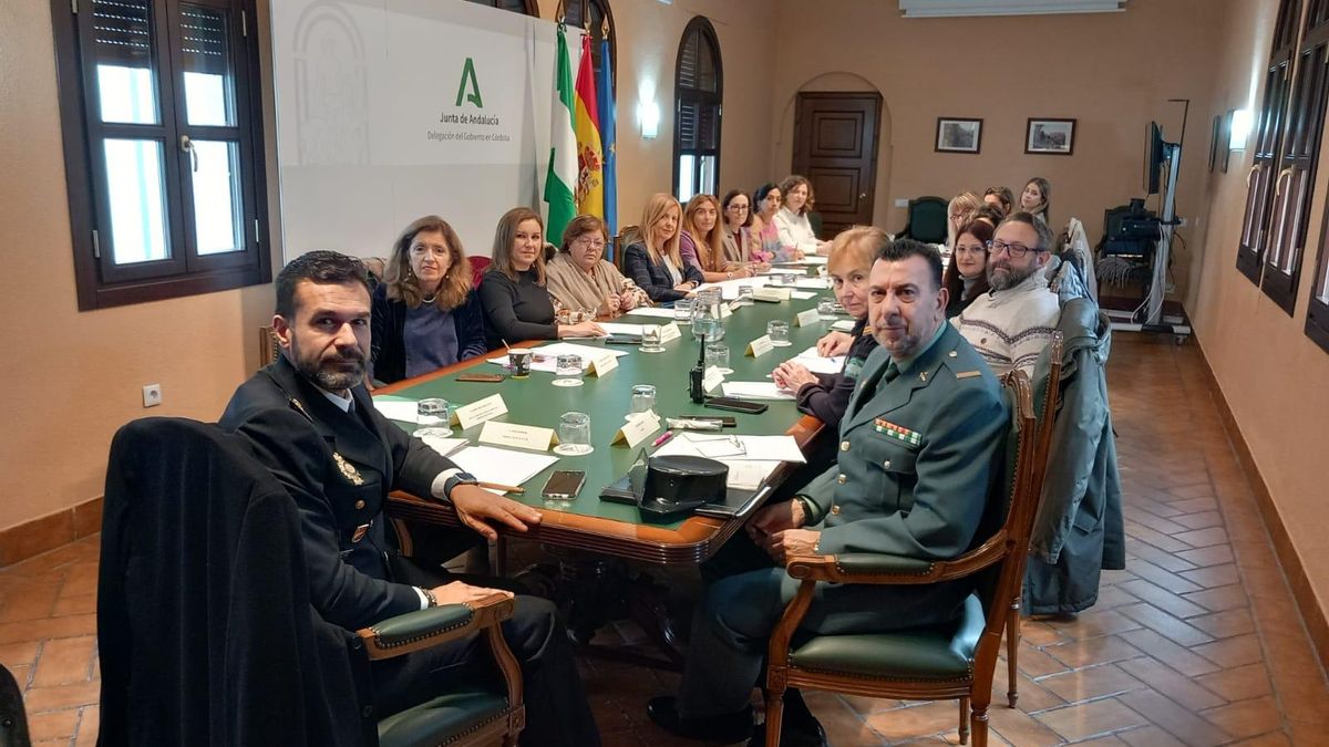 Participantes en la Comision Violencia Genero de Córdoba.