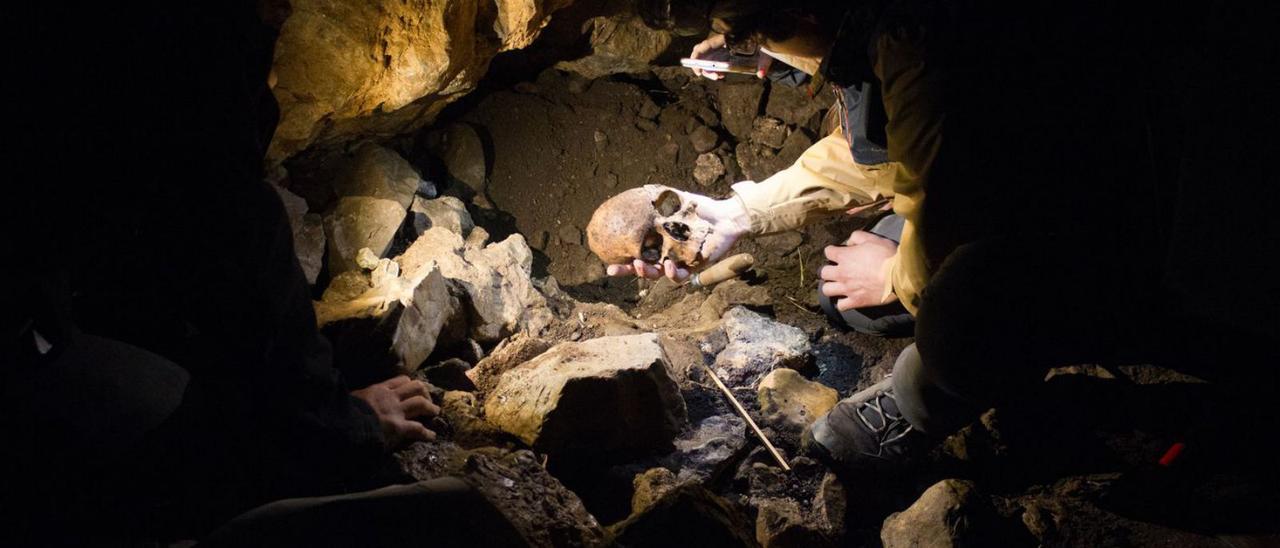 El hallazgo de una calavera entre los restos humanos de la Cuova’l Gatu de Ambás, en Grado. |