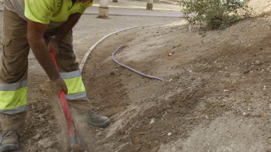 El Ayuntamiento retira de los jardines una planta prohibida