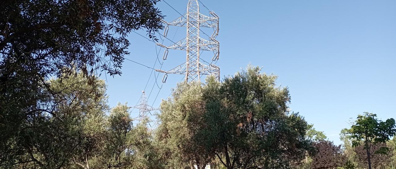 Torres de alta tensión en el parque.