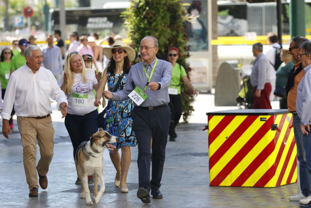 La carrera, con salida y llegada en la plaza de la Marina, ha recorrido la calle Larios, Alcazabilla y calle Granada ante la sorpresa e interés de vecinos y turistas.