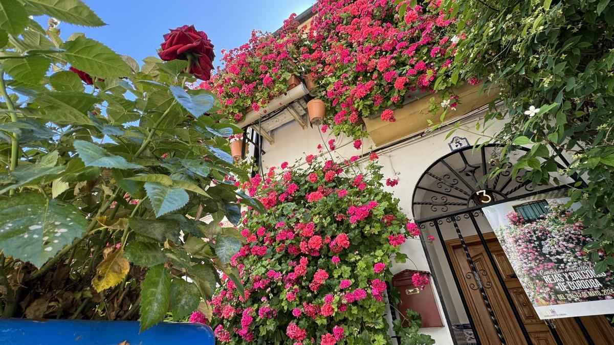 Primer premio del Concurso de Rejas y Balcones de la calle Manuel Soro Tinte 3 del 2024.