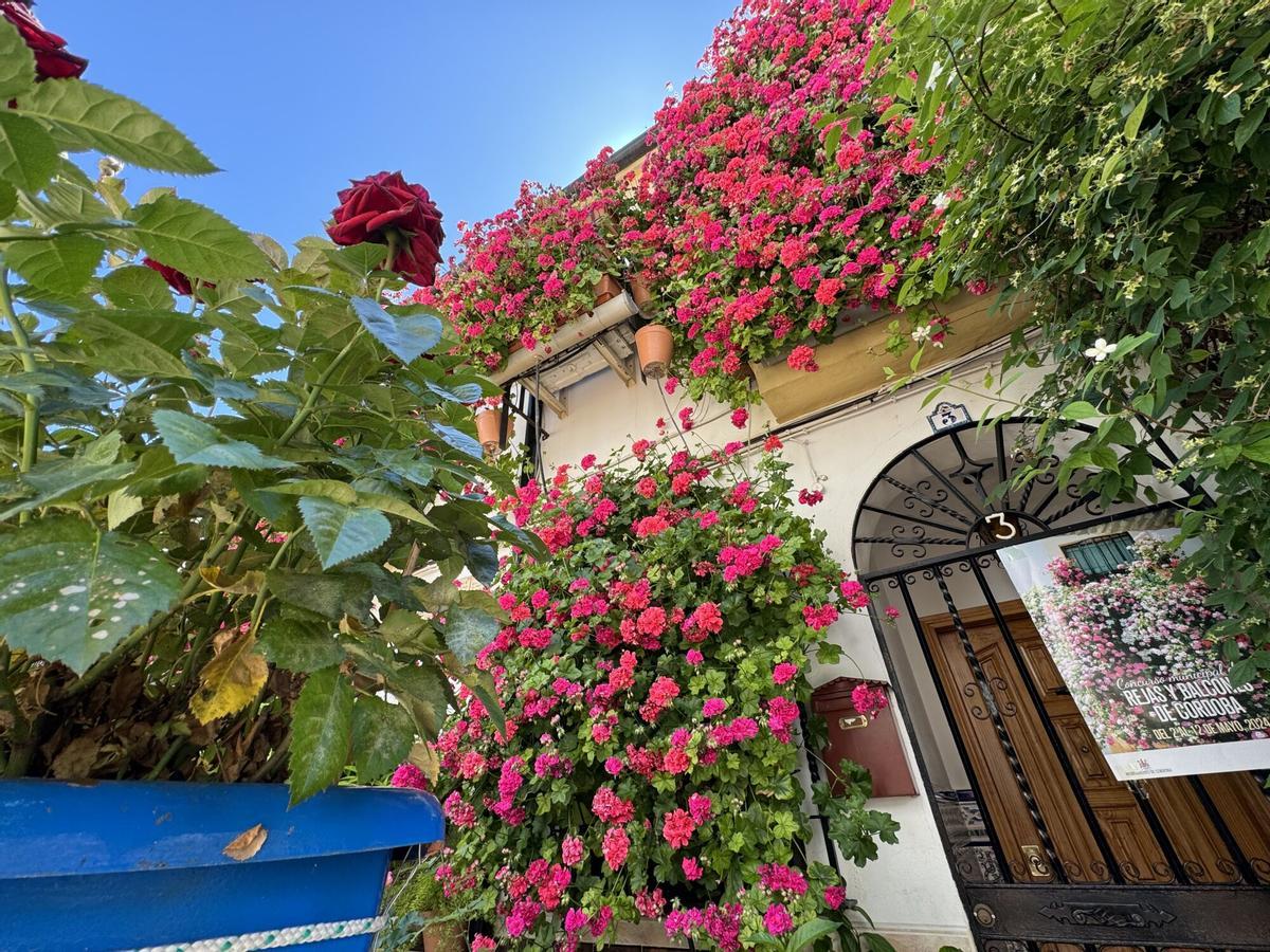 Concurso de Rejas y Balcones.