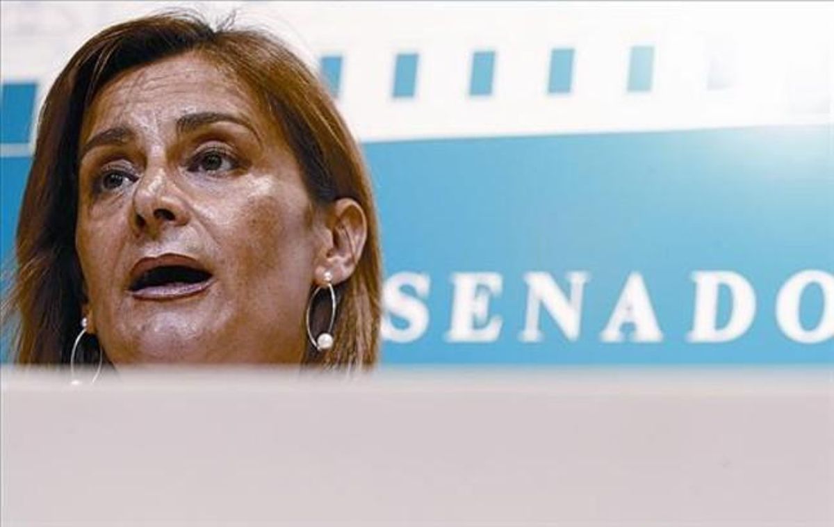 La portaveu del PSOE al Senat, Carmen Silva, en una roda de premsa a la Cambra alta. La portaveu del PSOE al Senat, Carmen Silva, en una roda de premsa a la Cambra alta.