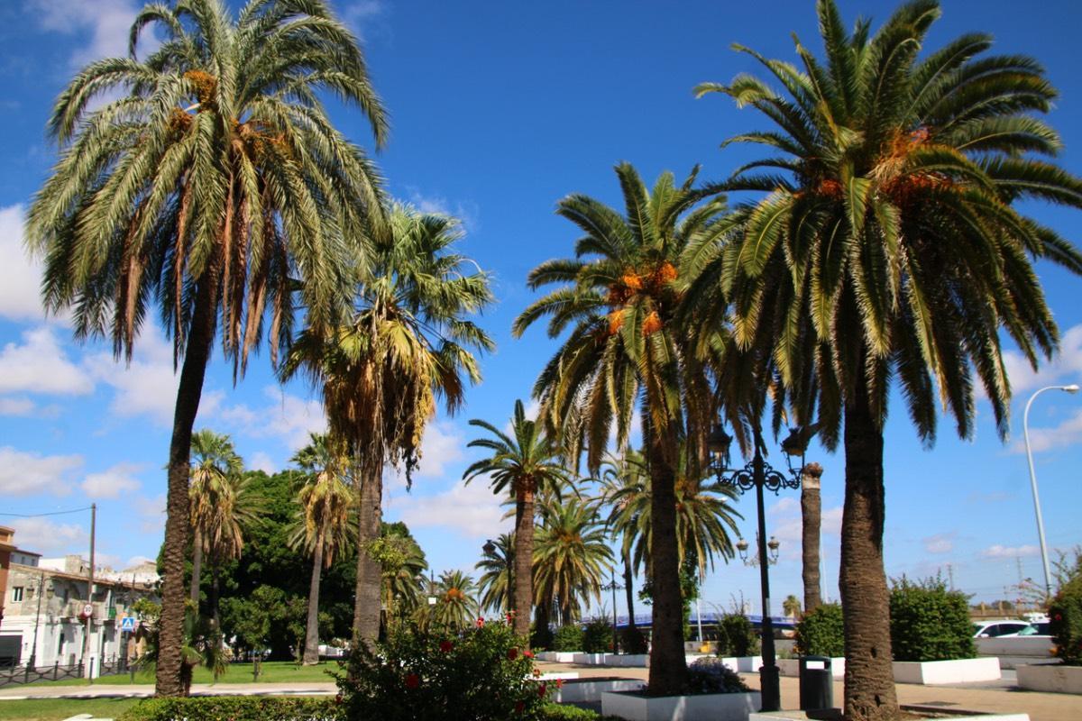 El Parque Calderón en El Puerto de Santa María (Cádiz)