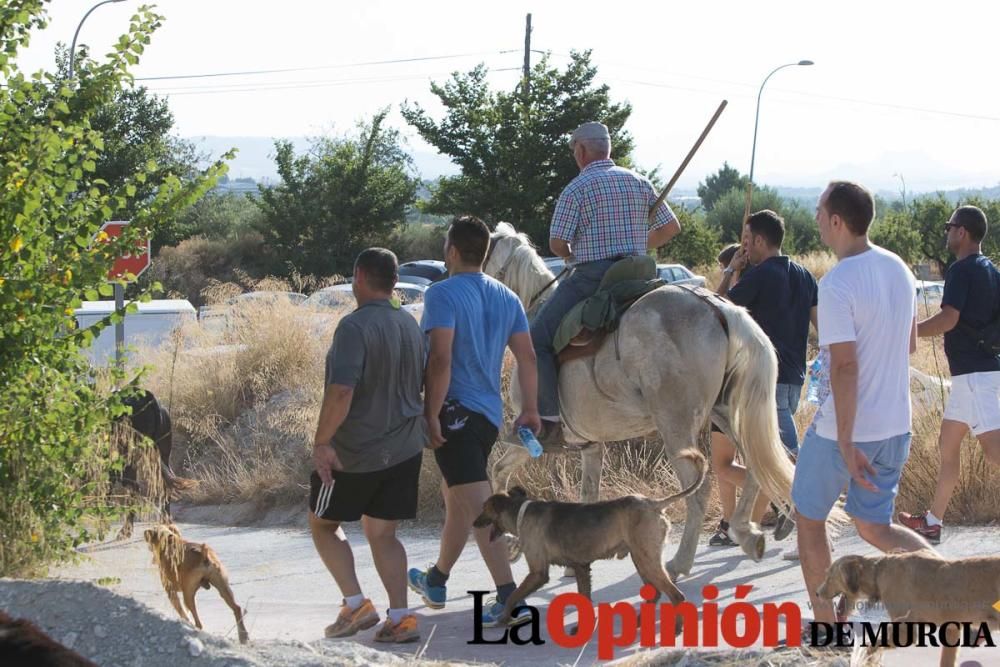 Vereda en Moratalla