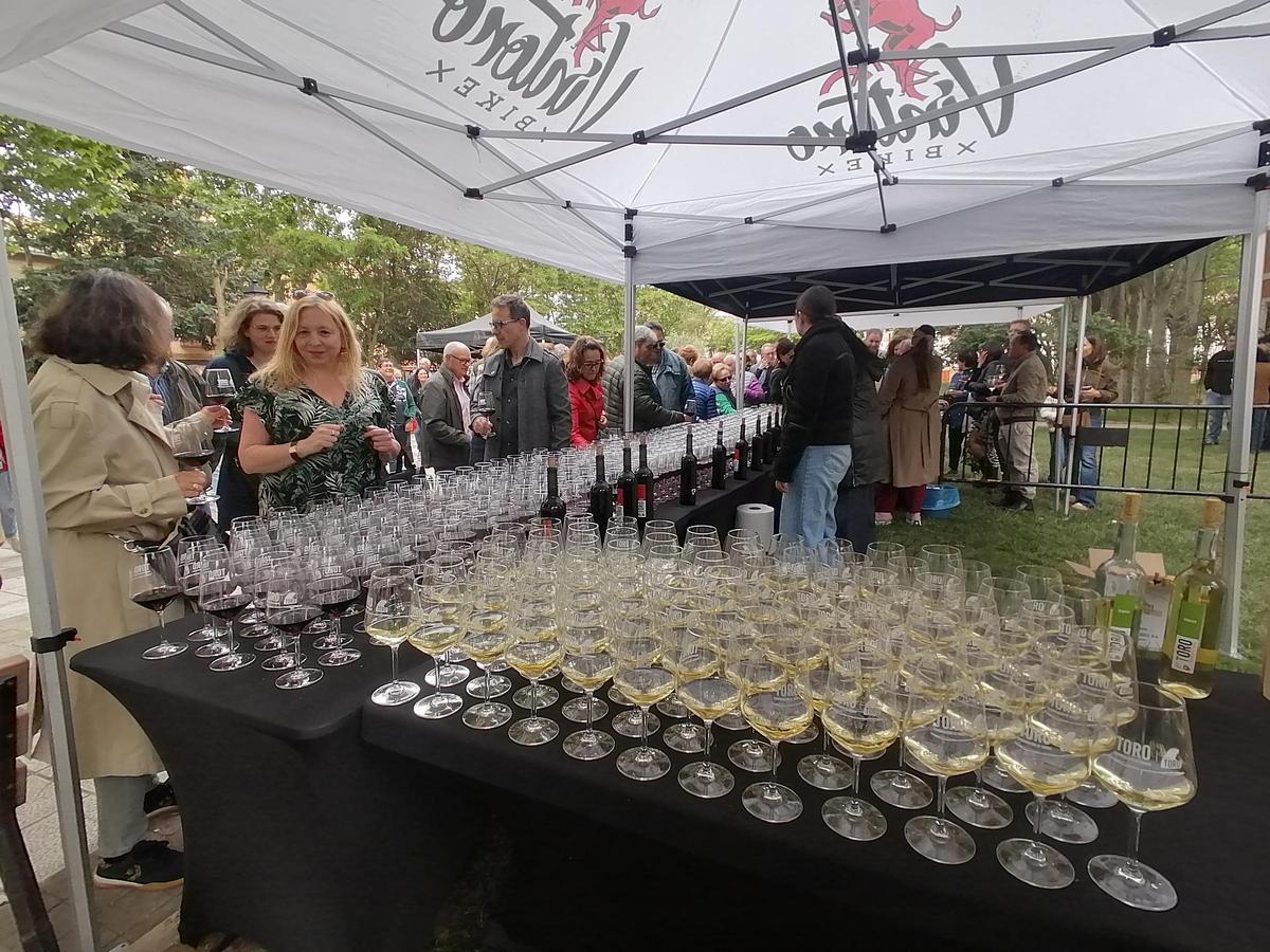 GALERÍA | Toro brinda por los vinos de la DO y el enoturismo