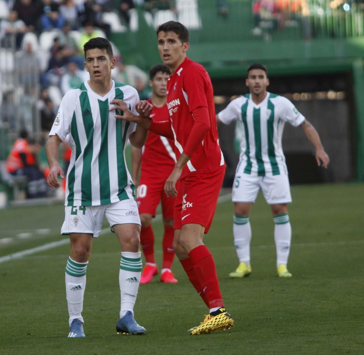 Las imágenes del Córdoba CF-Sevilla Atlético