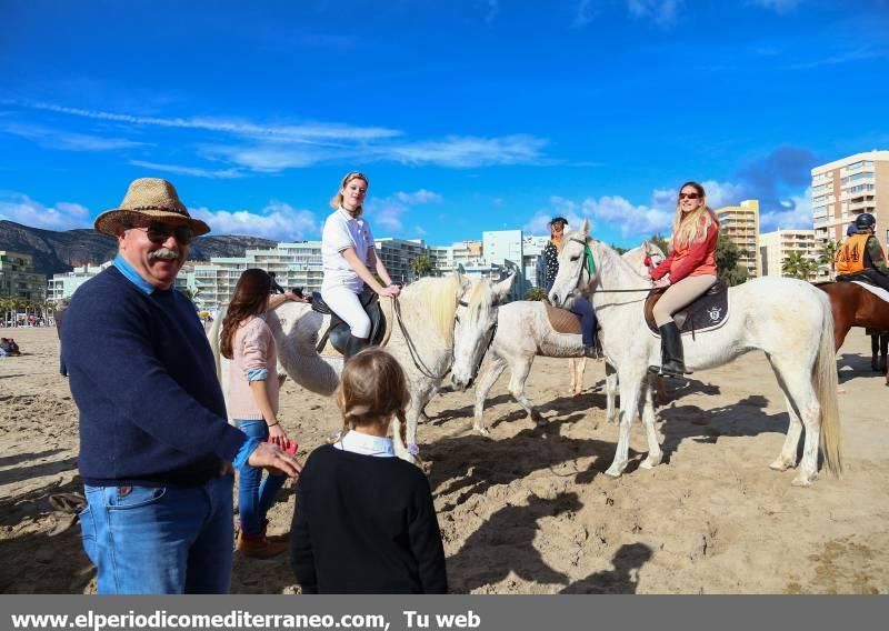 La playa de la Concha de Orpesa es un hipódromo por un día