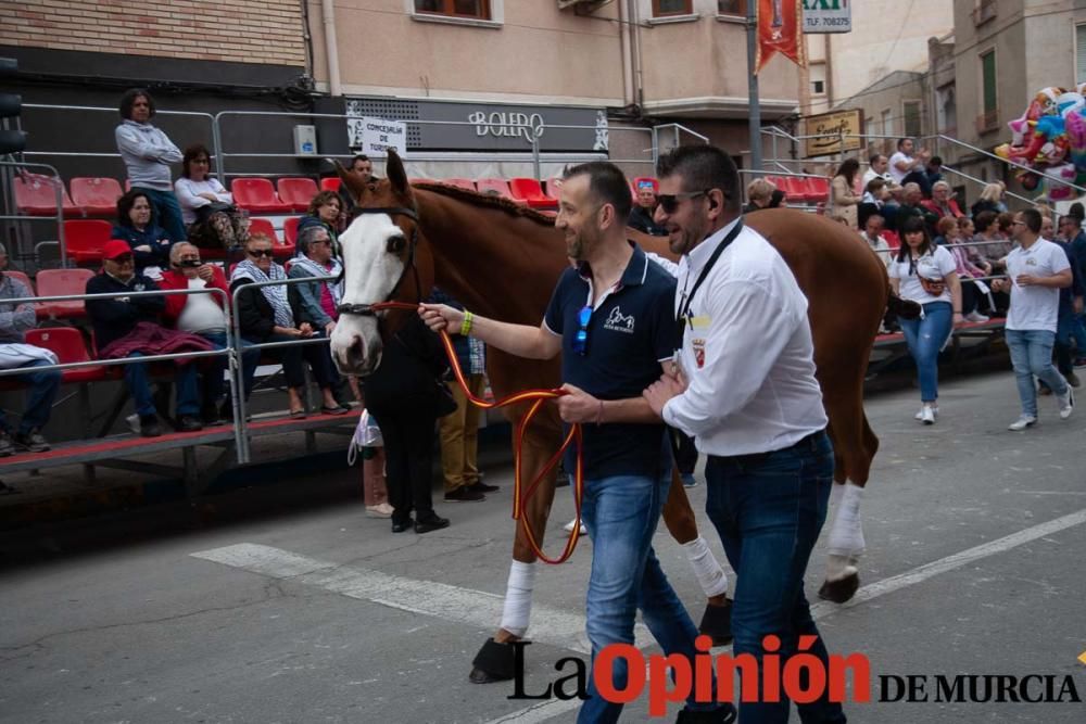 Caballos del Vino: Concurso morfológico (salida Pl