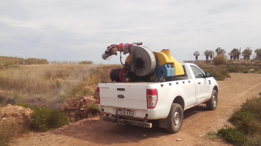 Moncofa trabaja por erradicar la presencia molesta de mosquitos