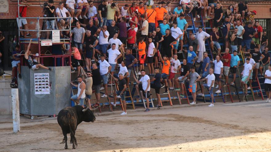 Burriana, récord taurino para las fiestas de la Misericòrdia