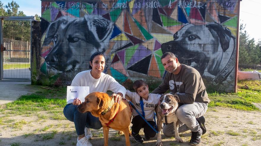 Adoptan a Leo, el perro abandonado que protagonizó el vídeo de Poio en Fitur