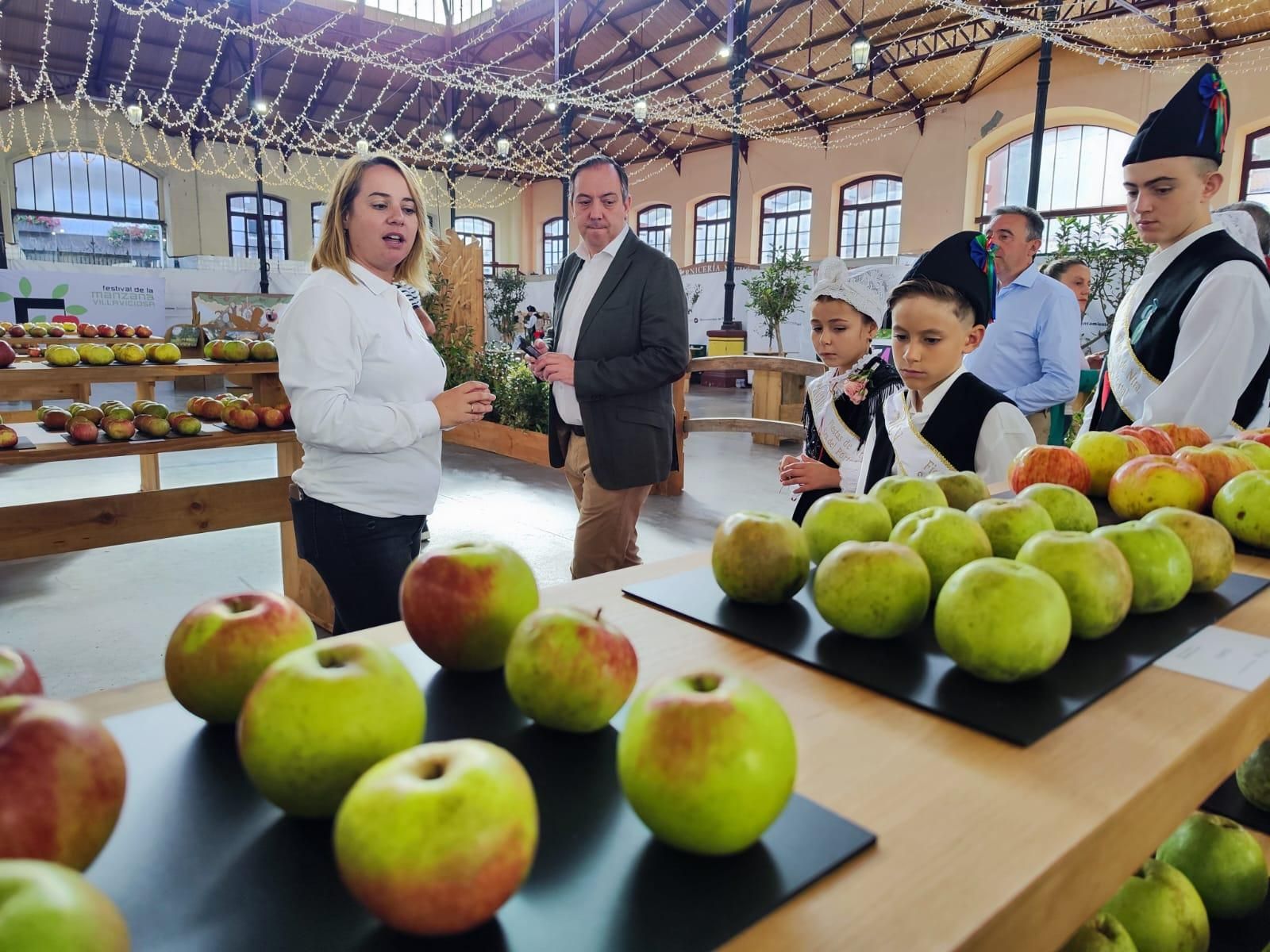 El Festival de la Manzana arranca en Villaviciosa: exposiciones, talleres y actividades infantiles