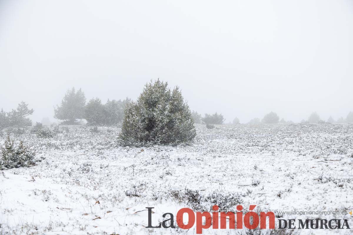 Nieve en el Noroeste