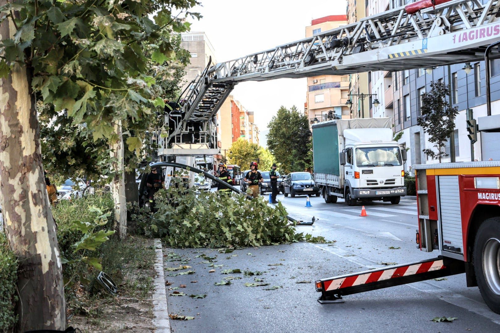 Un camión derriba un semáforo y un árbol en la calle València de Alcoy