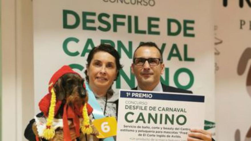 «Bolvo», ganador del concurso de mascotas de Carnaval en El Corte Inglés de Avilés.. | E. C. I.