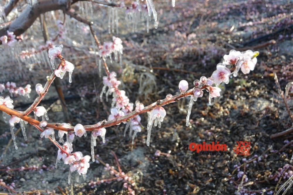 Helada en Cieza 9 de febrero de 2018