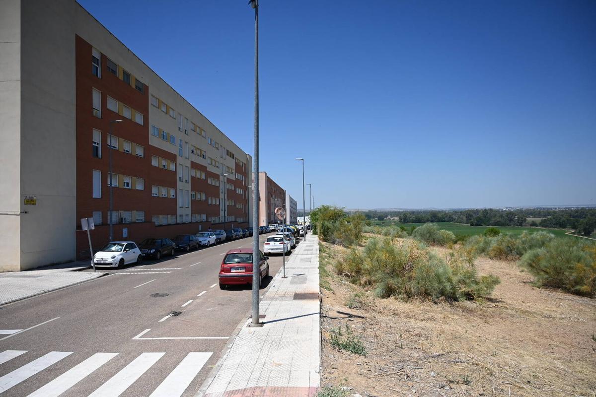 Terrenos donde se ubicará el futuro instituto de Cerro Gordo.