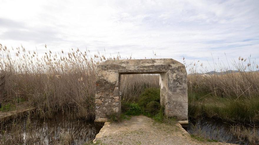 Recuperación de un humedal de Ibiza: Medidas para salvar los portales de 'feixa'