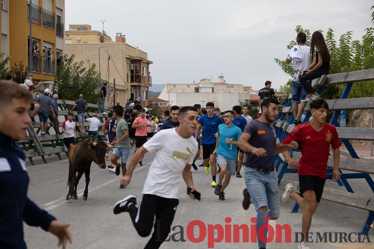 Chupinazo y encierro chico en Calasparra