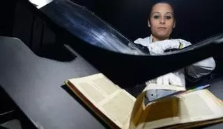 Los tesoros del Museo Massó al alcance de todos