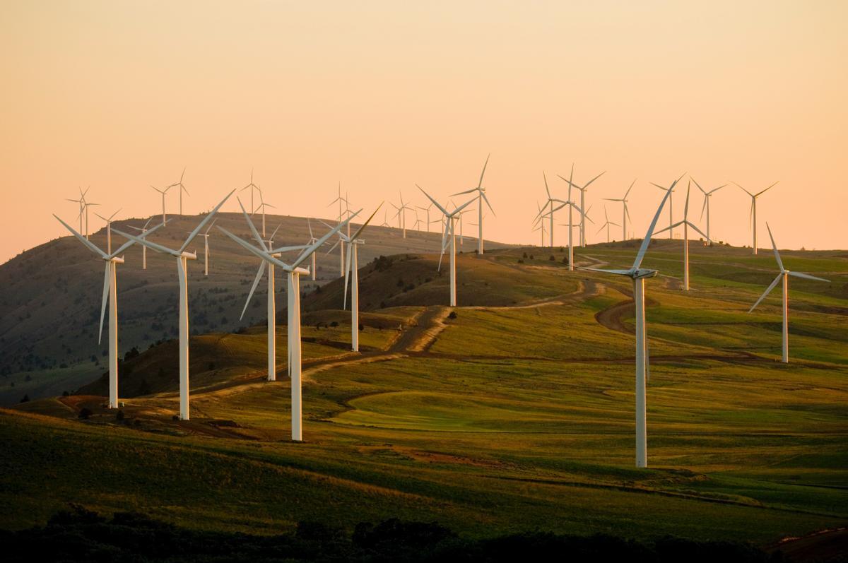 Catalunya accelera cap a les renovables: 300 projectes esperen llum verda per quintuplicar el 2030 la potència energètica