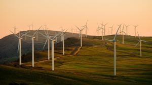 Catalunya accelera cap a les renovables: 300 projectes esperen llum verda per quintuplicar el 2030 la potència energètica