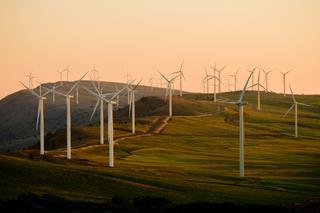 Catalunya acelera hacia las renovables: 200 proyectos esperan luz verde para quintuplicar en 2030 la potencia energética