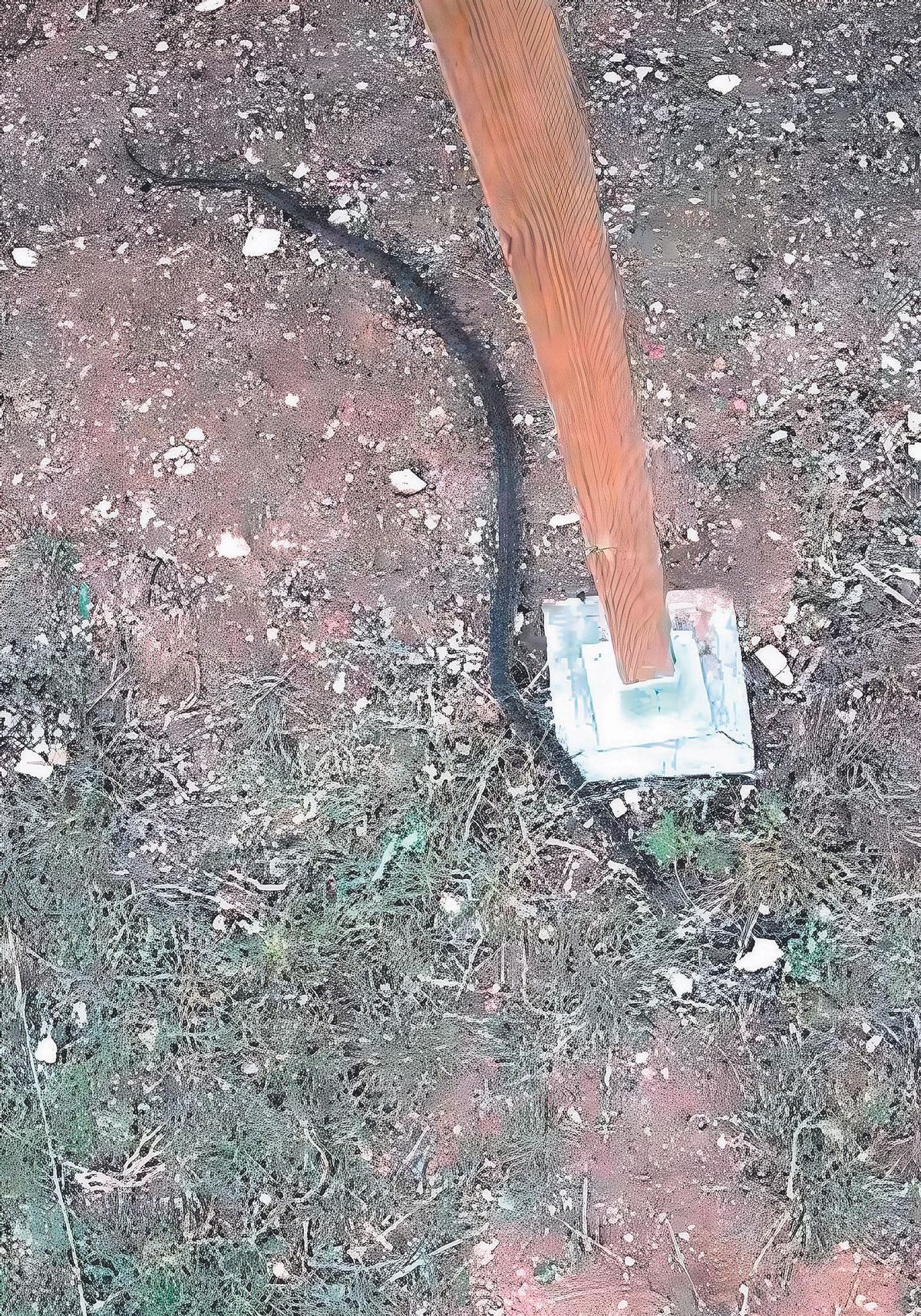 Eine Hufeisennatter in Sineu – eineinhalb Meter lang.